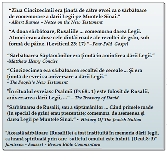 Commentary Quotations
