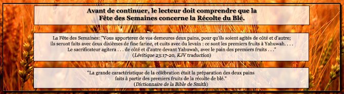 La Fête de la Pentecôte concerne la Récolte du Blé; Lévitique 23:17-20, commentaire.