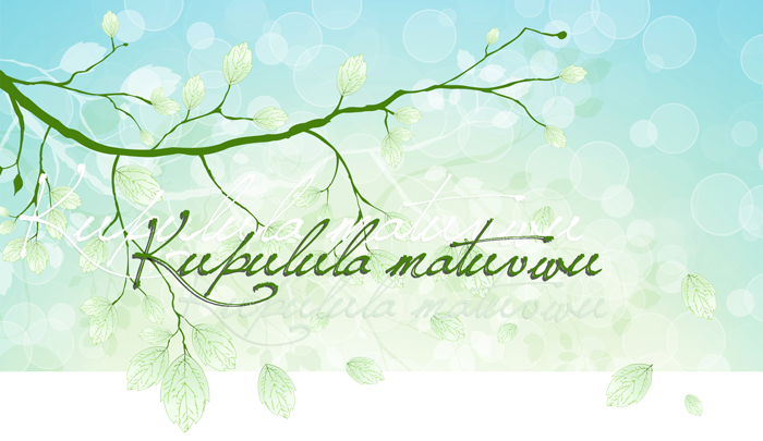 Ba Jesuiti Bacenjezu: Basisa Nyika Iipapalele aNsabata Iitobezya Mwezi! image