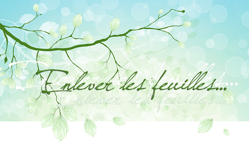 Enlever les feuilles, dépouiller, effeuiller, plumer