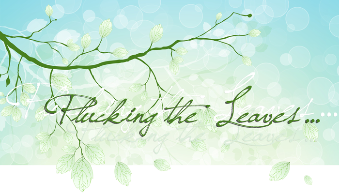 Plucking the Leaves
