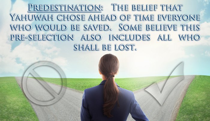 Predestination