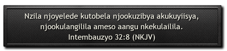 Cikkelo ca Bumboni image