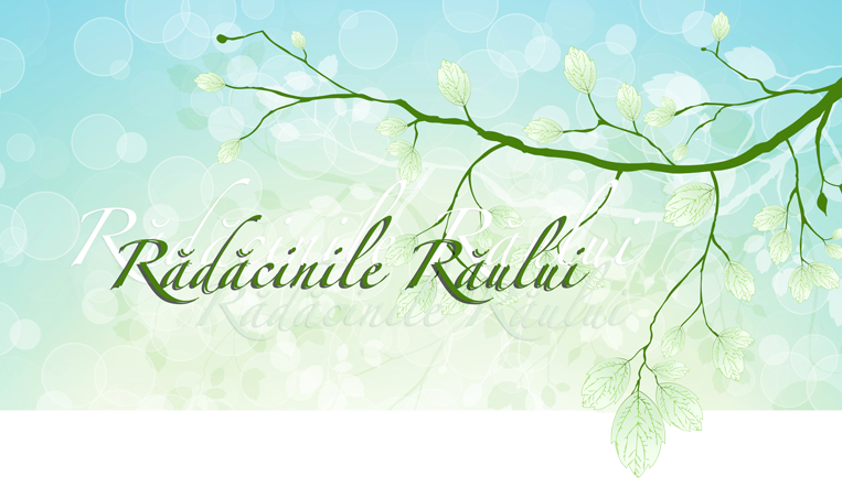 Rădăcinile Răului