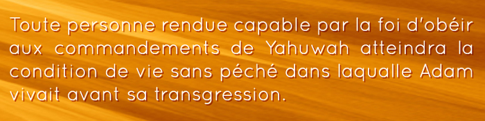 Le Secret de la Victoire: Posséder la Foi de Yahushua image