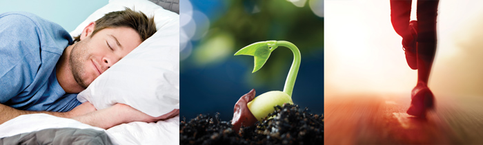 Hebrew Language verbs - sleep, grow, run