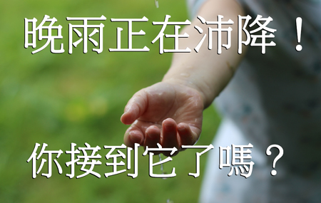 晚雨正在沛降！（你接到它了嗎？）