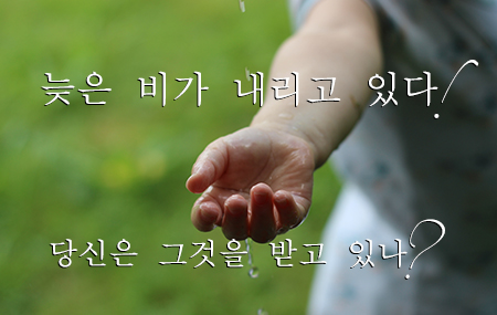 늦은 비가 내리고 있다! (당신은 그것을 받고 있나?)