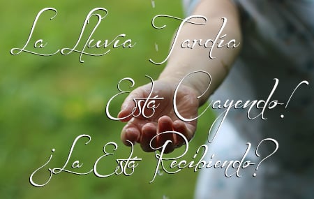 La Lluvia Tardía Está Cayendo! (¿La Está Recibiendo?)