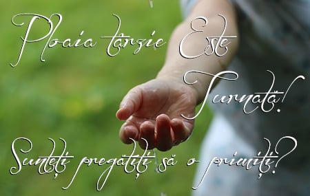 Ploaia Târzie cade!( O primești?)