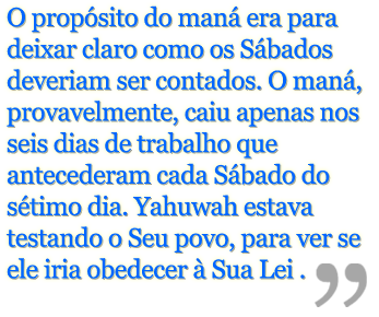 Luas Novas e Maná | O Padrão no Deserto image