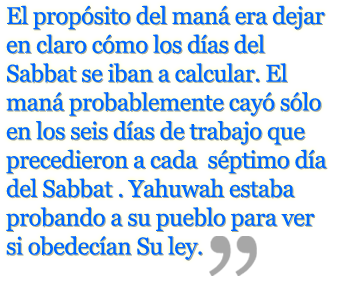 Lunas Nuevas y el Manna | El Patrón en el Desierto image