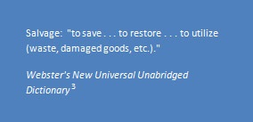 dictionary definition of salvage