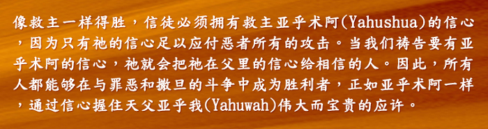 得胜的秘密：拥有亚乎术阿的信心 image