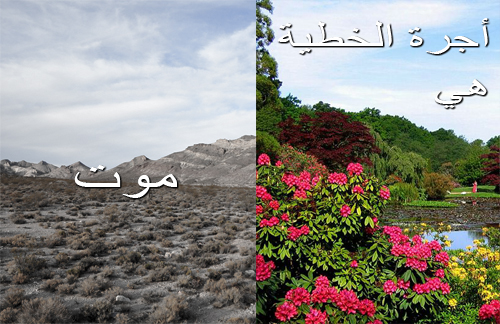 الإنجيل: من الخطية إلى الخلاص image