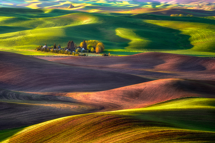 ținut uscat cu lanuri de grâu( Imaginea a fost folosită cu permisiunea Michael Brandt Photography)