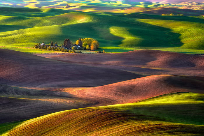 dry land wheat farming (Image used by permission of Michael Brandt Photography)