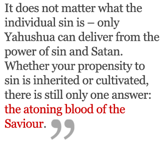 Yah’s Love for Homosexuals image