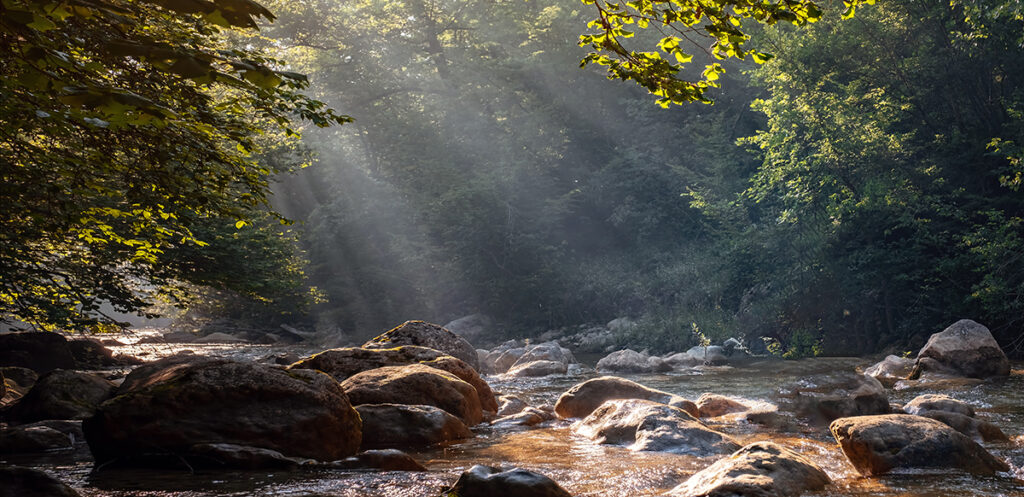 nature