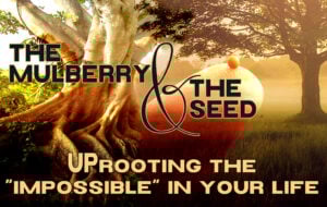 The Mulberry and the Seed: Uprooting the “Impossible” in Your Life