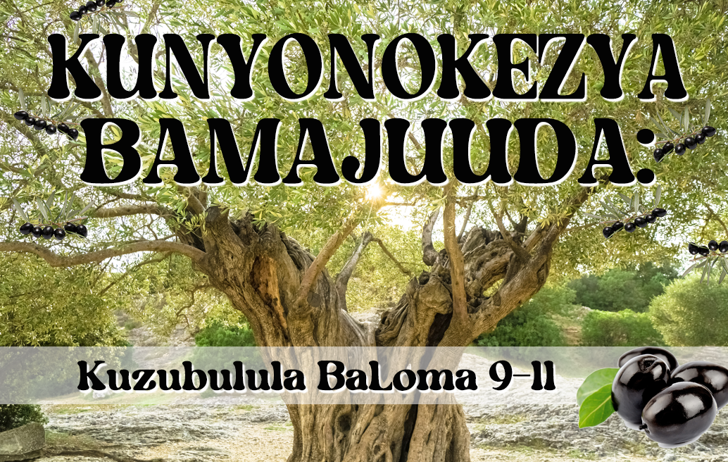 Kunyonokezya BamaJuuda: Kuzubulula BaLoma 9-11