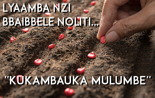 Lyaamba Nzi Bbaibbele Noliti “Kukambauka Mulumbe”