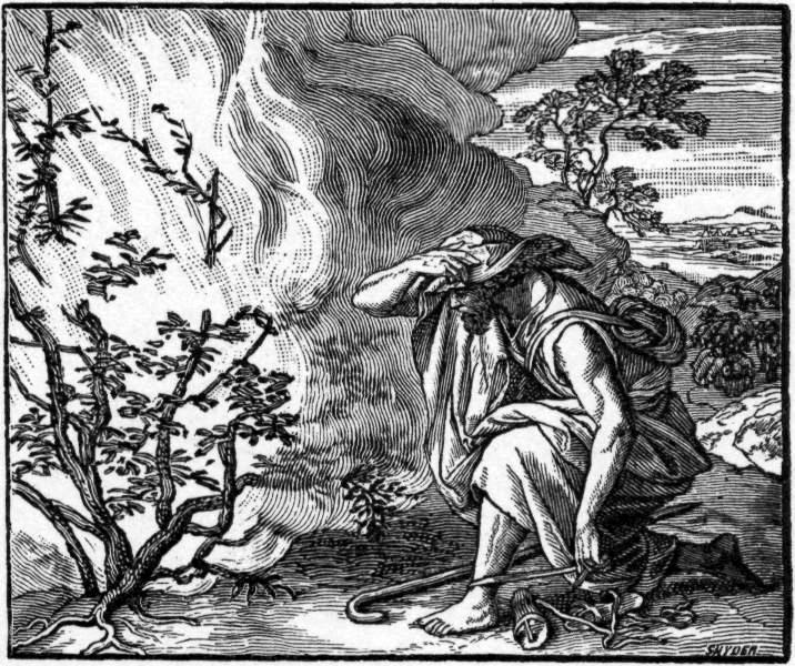 Fosterův Mojžíš a hořící keř