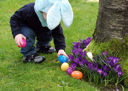 child gathering easter eggs (easter egg hunt)