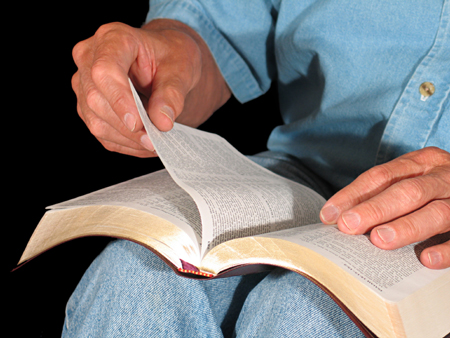 Person studying the Bible