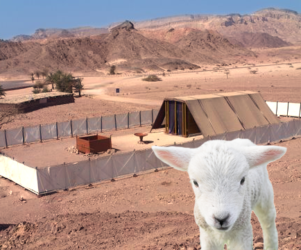 lamb and the tabernacle of meeting