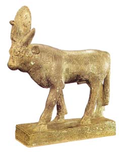 Apis - the golden calf