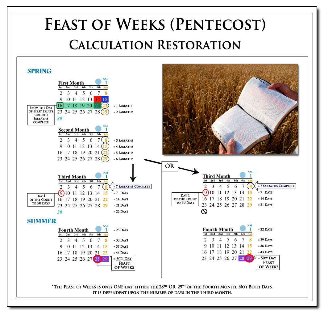 Chart showing the count to Pentecost: 7 Lunar Sabbaths + 50 Days, Counting from Wave Sheaf