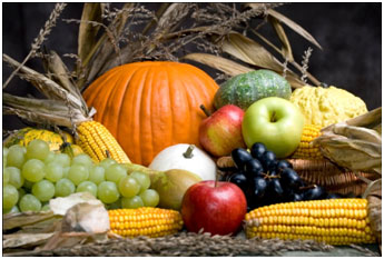 fruits and vegetables