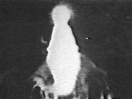 Mary Apparition