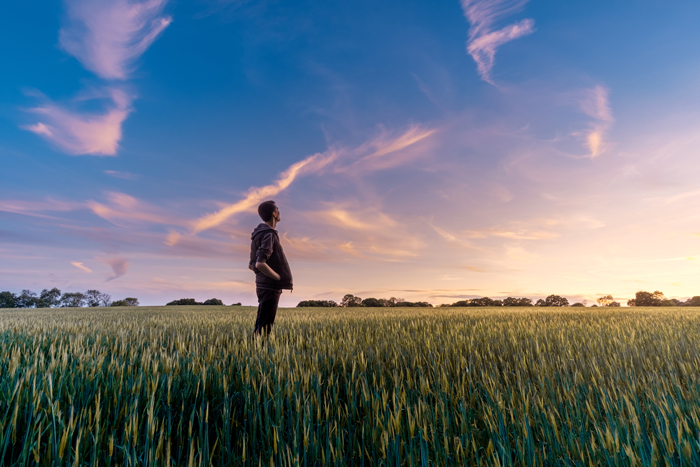 homme dans un champ de céréales (blé) regardant le ciel, les mains dans les poches