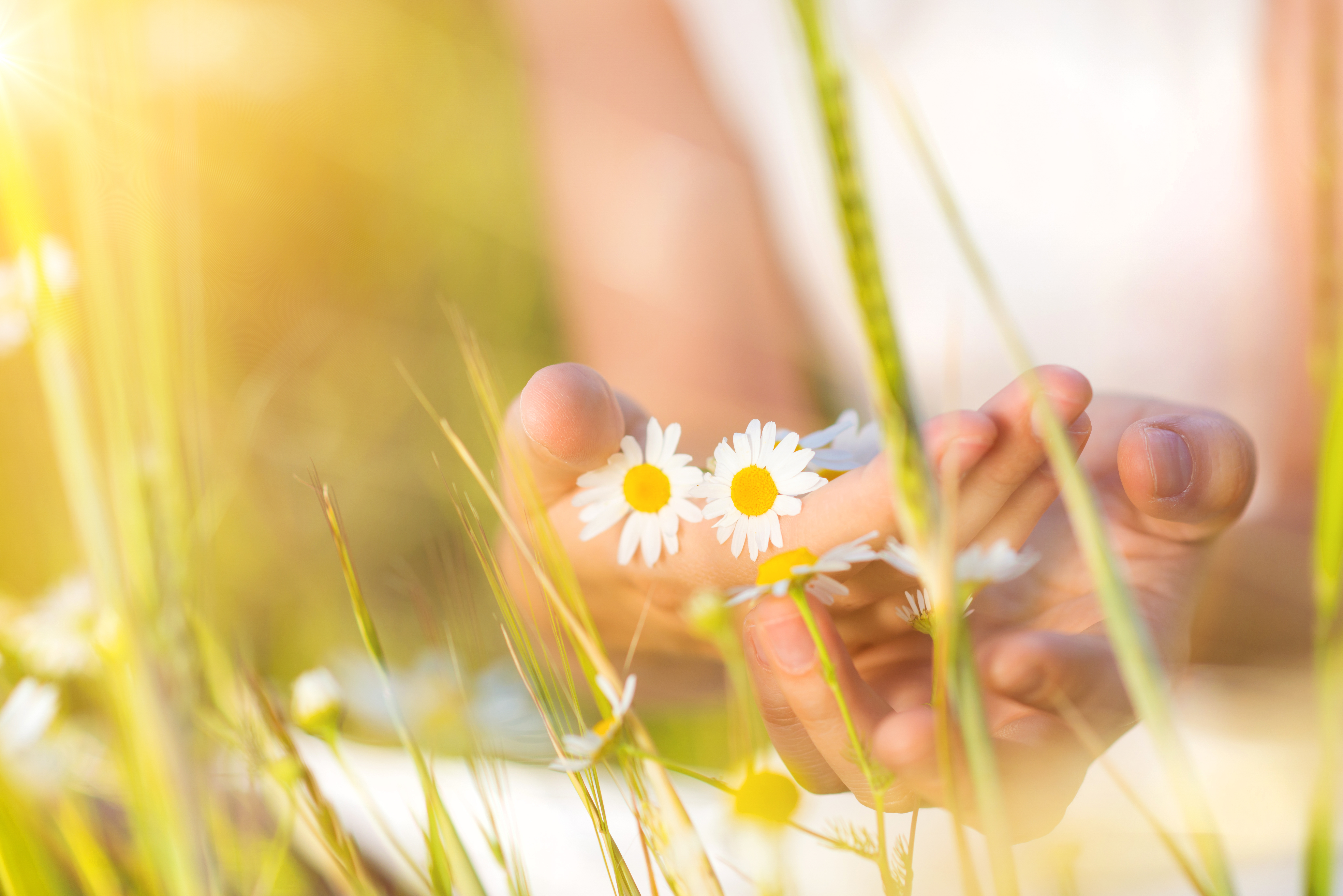 woman holding flowers