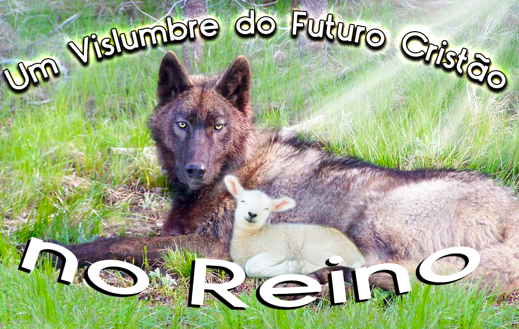 Um Vislumbre do Futuro Cristão no Reino