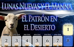 Lunas Nuevas y el Manna | El Patrón en el Desierto