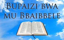 Bupaizi bwa mu Bbaibbele
