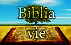 Biblia vie