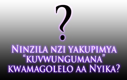Ninzila nzi yakupimya “kuvwungumana” kwamagolelo aaNyika? Ime njanda kulisunkila nzila eeyi lwangu ndemwini.