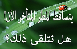 يتساقط المطر المتأخر الآن! (هل تتلقى ذلك؟)