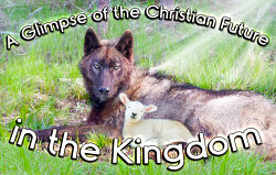 A-Glimpse-of-the-Christian-Future-in-the-Kingdom