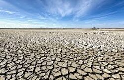 Water: Making the Most of It - Growing in the Mega Drought