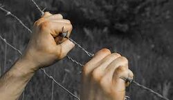 RULING CLASS: FREEING THE SLAVES WOULD MEAN MORE INFECTIONS