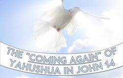 the-coming-again-of-yahushua-in-john-14