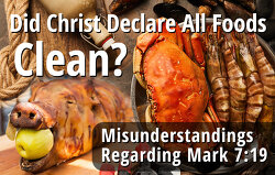 did-christ-declare-all-foods-clean-mark-7-19