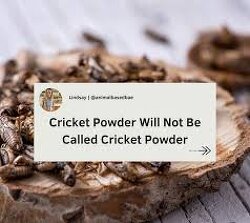 Cricket Powder Will Not Be Called Cricket Powder: It's called Acheta Protein. Why do companies continue to rename ingredients, causing confusion for shoppers?