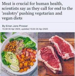 Meat is crucial for human health, according to scientists. Close to 1,000 experts signed a statement that promotes the health benefits of livestock farming & meat - and call for end to the 'zealotry' pushing vegetarian and vegan diets.