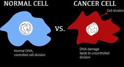 Do doctors cause more cancer than humans? He explains how cancer cells form and what causes them. He also mentions a few things you can do to limit or kill cancer cells.